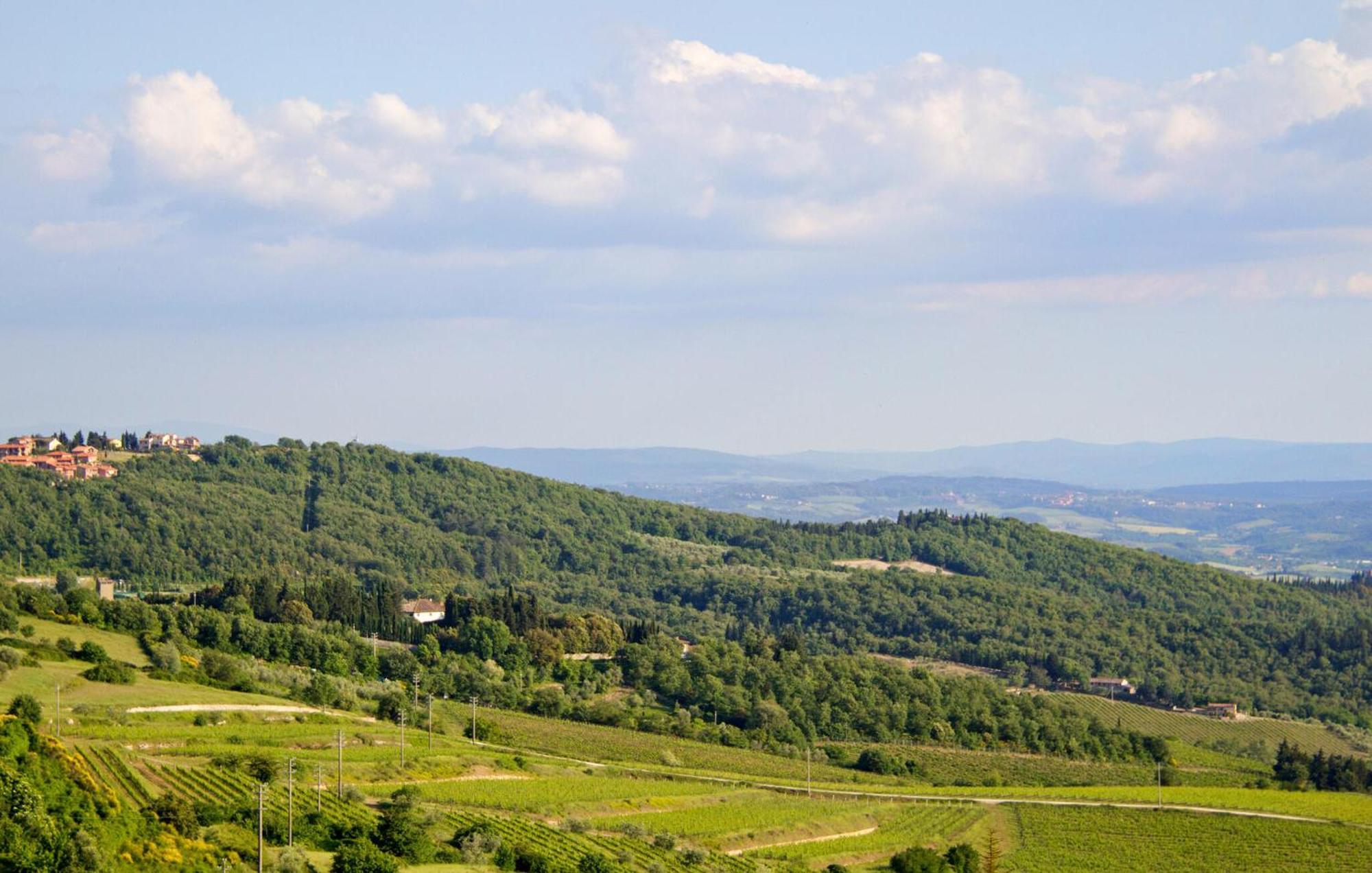 Galletto Nero Panzano in Chianti Kültér fotó